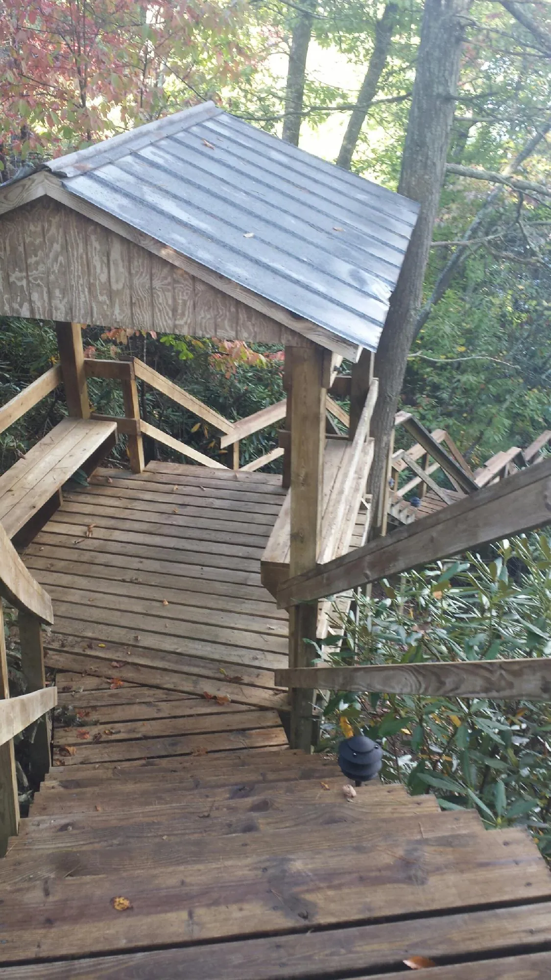 Metal roofed shelter over wooden steps on a wooded walkway — Skylight Repair & Installation work by our crew in Maybee